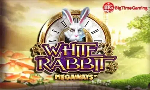 White Rabbit